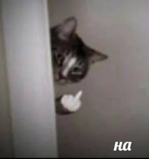 Telegram sticker 🌟 catari :: @fStikBot