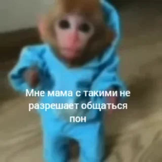 Video sticker 😍 ЖМИ 👉 @memes_stikers ➡️ @Ctikerubot