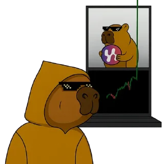 Video sticker 🚀 HodlBitcoin