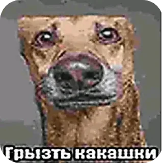 Telegram sticker 🖼 ...