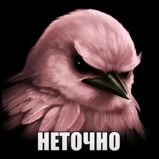 Video sticker 🫤 птички КОНКУРС  ➟ @HolySwear