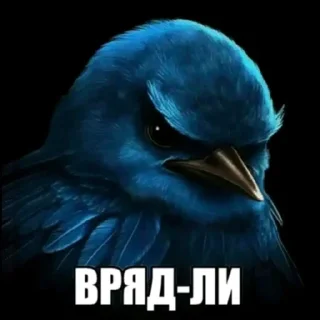 Sticker 🫤 птички КОНКУРС  ➟ @HolySwear