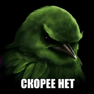 Telegram sticker 🫤 птички КОНКУРС  ➟ @HolySwear