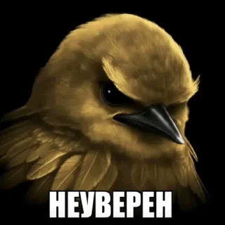 Telegram sticker 🫤 птички КОНКУРС  ➟ @HolySwear