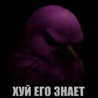 Telegram sticker 🫤 птички КОНКУРС  ➟ @HolySwear