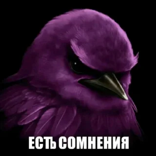 Telegram sticker 🫤 птички КОНКУРС  ➟ @HolySwear