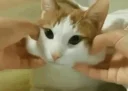 Telegram sticker ❤️ Random shit