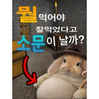 Video sticker 🥰 특su학교 su_티커
