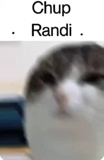 Video sticker ⭐️ Cultured 2.0