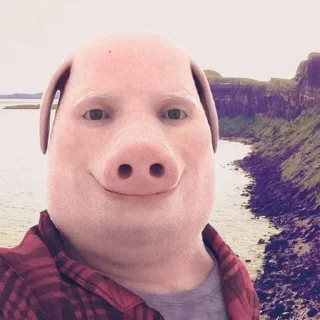 Telegram sticker 🐷 brainrot