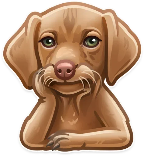 Telegram stiker 🐶 @studiorack