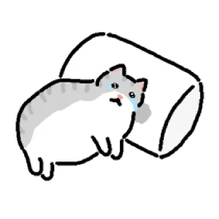 Telegram sticker ⭐ 고앵이모음 @moe_sticker_bot