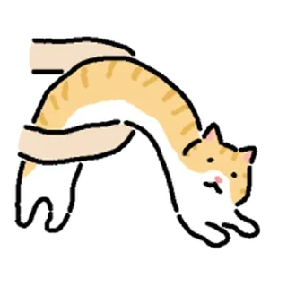 Video sticker ⭐ 고앵이모음 @moe_sticker_bot