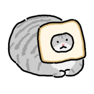 Video sticker ⭐ 고앵이모음 @moe_sticker_bot