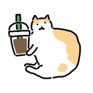 Video sticker ⭐ 고앵이모음 @moe_sticker_bot