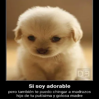 Telegram sticker ☺️ Guatafac, Vol. 2