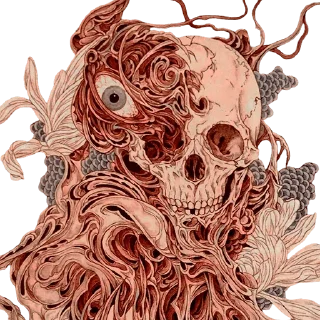 Telegram sticker 💀 👉🏻 @truecatharsis: Takato Yamamoto