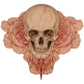 Telegram sticker 💀 👉🏻 @truecatharsis: Takato Yamamoto