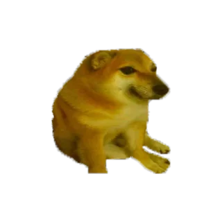 Sticker 🥺 ° ₮єαм ℘яє∂αтσяѕ °