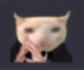 Video sticker 🧐 ° ₮єαм ℘яє∂αтσяѕ °