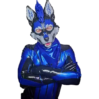 Telegram sticker 😀 RubberWolfExeter