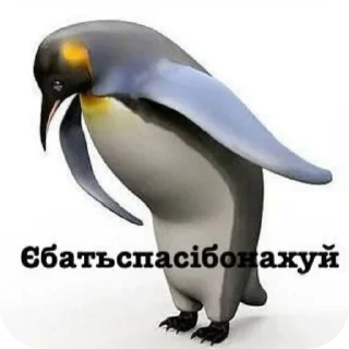 Telegram sticker 🐧 For all chatting moments