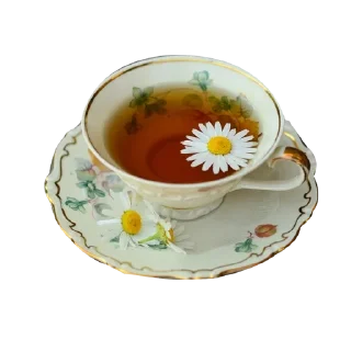 Video sticker ☕ Холодильник Владика :: @fStikBot