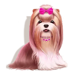 Video sticker 🌟 🎰Промики тут @casino_white