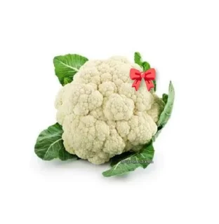 Video sticker ⭐️ Sayuran • @sticbot