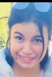 Video sticker 🍯 Everything