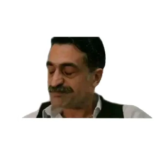 Video sticker 🅰 Everything