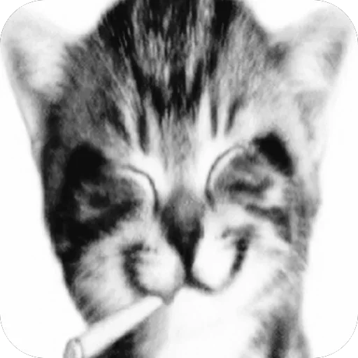 Telegram sticker 🍆 морана каралева