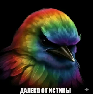 Telegram sticker 🤩 Птицы малого полета | @wh1so