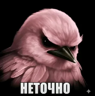 Telegram sticker 🤩 Птицы малого полета | @wh1so