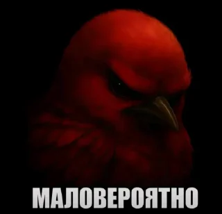 Video sticker 🤩 Птицы малого полета | @wh1so
