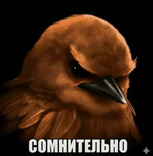 Telegram sticker 🤩 Птицы малого полета | @wh1so