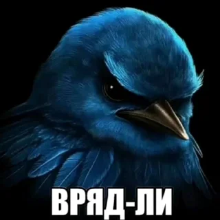 Sticker 🤩 Птицы малого полета | @wh1so