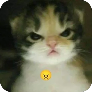 Telegram sticker 🫥 ثير حباب