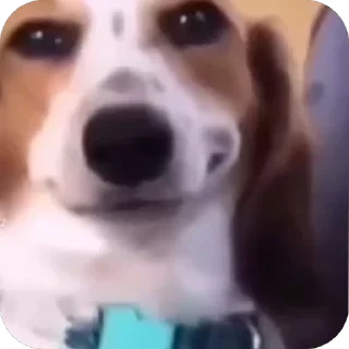 Video sticker 😳 𝒎𝒚 𝒇𝒖𝒄𝒌𝒊𝒏𝒈 𝒂𝒏𝒊𝒎𝒂𝒕𝒊𝒐𝒏𝒔 [@abrm18]