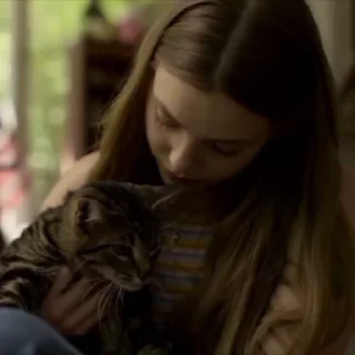 Video sticker 🪫 ˛𝗦𝘁𝗶𝗰𝗸𝗲𝗿 𝗰𝗵𝗮𝗻𝗻𝗲𝗹 @NKNNN