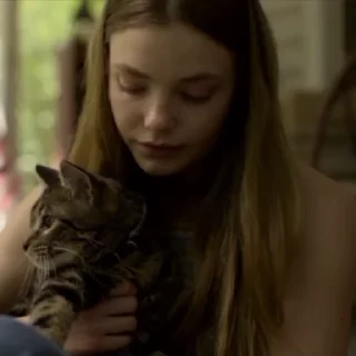 Video sticker 🪫 ˛𝗦𝘁𝗶𝗰𝗸𝗲𝗿 𝗰𝗵𝗮𝗻𝗻𝗲𝗹 @NKNNN