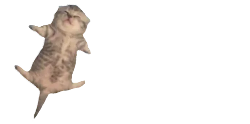 Telegram sticker 😵 Currycel17 :: @fStikBot