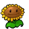 Video sticker 🌻 д🍄