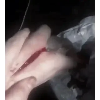 Video sticker 😊 Prsnl @Kazu_kito