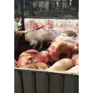 Telegram sticker 😊 Prsnl @Kazu_kito