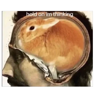 Телеграм стикер 🫥 lio gang