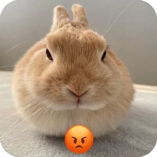 Sticker 🫥 lio gang