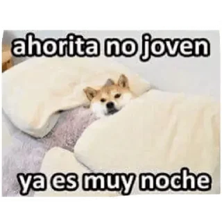 Video sticker 😴 Memes Mix