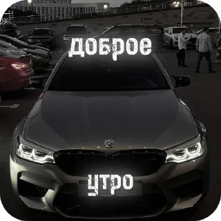 Video sticker 👍 matizik