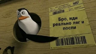 Video sticker 🌟 C10Н15N :: @fStikBot